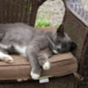 Meet your Posher, Natalie